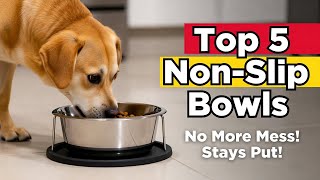 Top 5 best dog dog food bowl non slip review guide 2026 late