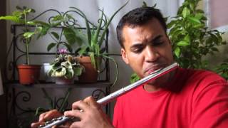 'I'm Hanging Up My Heart For You', by Solomon Burke, flute cover by Dameon Locklear