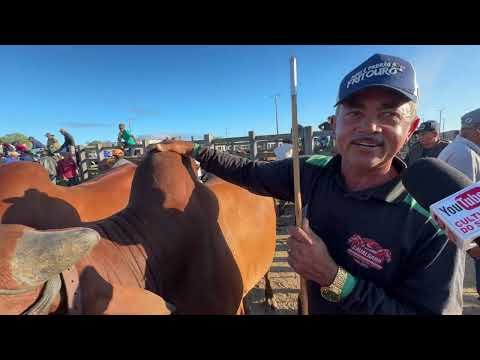 Feira de Gado em Dois Riachos - AL 29 - 07 - 2026 #nordeste 