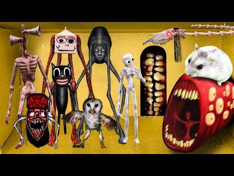 ALL MONSTERS Trevor Henderson - Hamster Maze with Traps | Monster in real life #4