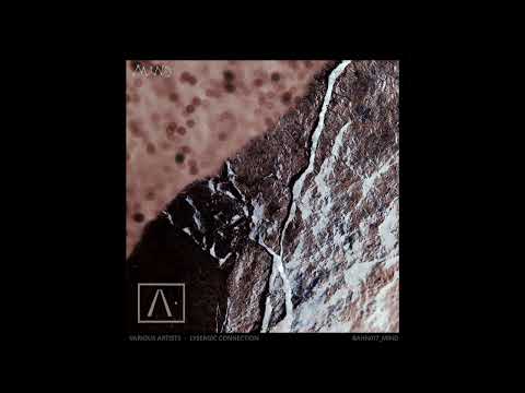 Nothing Is Real & The Alchemical Theory - Stige