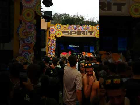 Ace Ventura na Spirit 5 anos