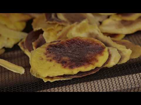 Shamba Shape Up Sn 8 - Ep 12: Mangoes, Dairy Supplements, Tomatoes (Swahili)