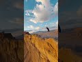 Skydiving Duck89907