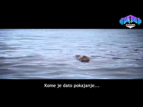 Vrata pokajanja su otvorena (EMOTIVNO)