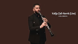 Luka Shkoza - Vallja E Zall-Herrit