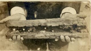 This Stick of Wood Ran the World for 726 Years — Then They Made Everyone Forget
