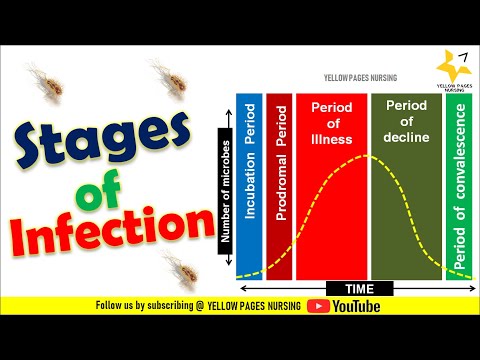 Stages of infection |Incubation Period | Prodromal Period | illness |  Decline & Convalescence