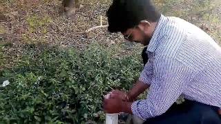 yad lagla new remake song Ajay Atul song