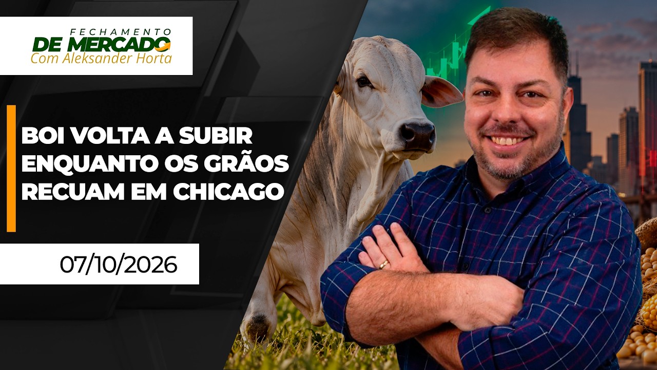 FECHAMENTO DE MERCADO - Boi volta a subir enquanto os grãos recuam em Chicago