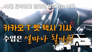 40대 부업 | 펫택시 | 반려동물 택시기사 이야기