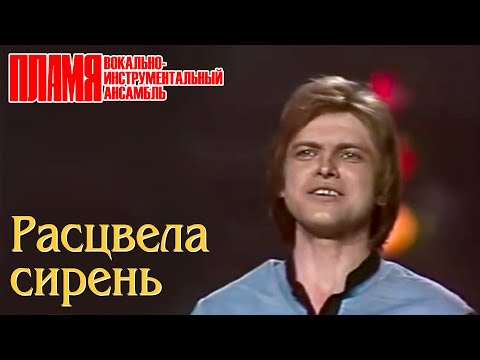 ВИА "ПЛАМЯ" - Расцвела сирень (1985) | Солист Валентин Дьяконов
