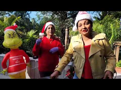 Pepper Pot recipe mommy is supervising. Love ❤️ to my Backyard Family. Pepper Pot Recipe below.