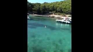 preview picture of video 'tdi scuba boran diving biograd croatia markec dolphin divers'