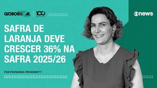 Safra de laranja deve crescer 36% na safra 2025/26