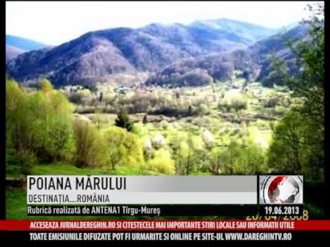 POIANA MĂRULUI