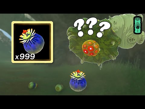 INFINITE Bomb Flowers, Tricks You Didn't Know & Farming Locations Zelda Tears of The Kingdom | Totk