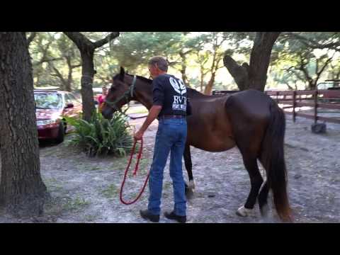 RVR: Mocha 5.21.18 p1