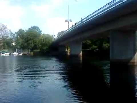 Hopp från söderbron (falkenberg)