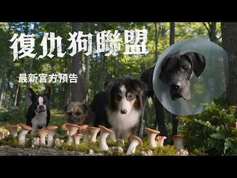复仇狗联盟预告片