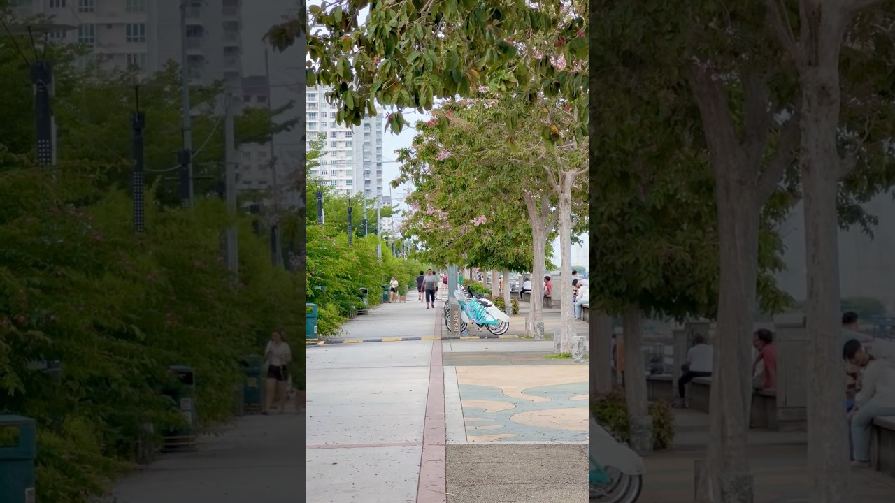 YouTube Short thumbnail