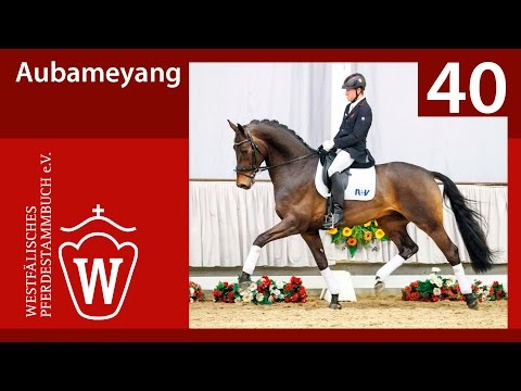 40 Aubameyang Hengst v. Ampere (NLD) - De Niro