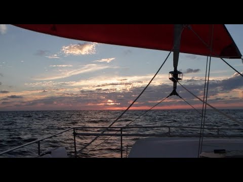 1 YEAR Of CHEAP Sailing IN NUMBERS $$$ | Sailing Kittiwake - Extra