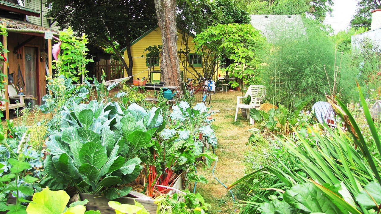 Backyard ecosystems: a homesteader's guide to permaculture