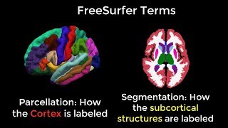 FreeSurfer  #1: Introduction