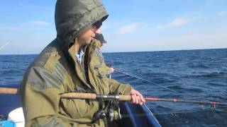 Как поймать морского черта