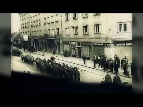 History Deutsch(HRT1):Massaker von Bleiburg 1945 /USTASA Treffen?/👉Terror der roten Partisanen