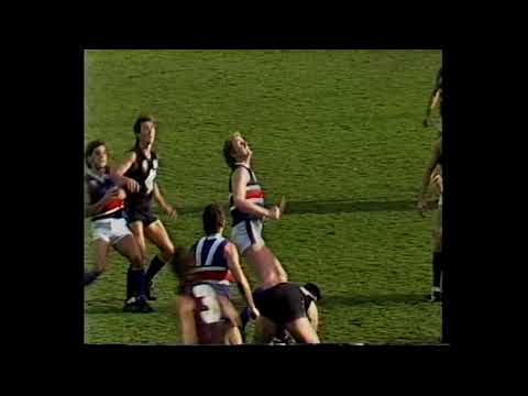 Football Hits Seagull 1987 Round 17