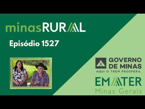 MINAS RURAL 1527