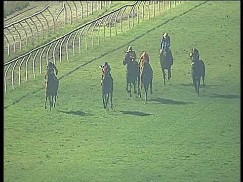 Galoppo 24/02/2018 - 6ª corsa