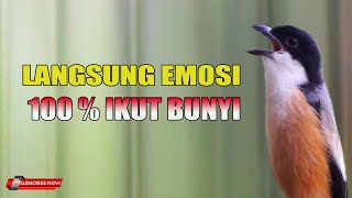 Download lagu PANCINGAN CENDET GACOR SEKETIKA EMOSI 100% LANGSUNG IKUT BUNYI mp3