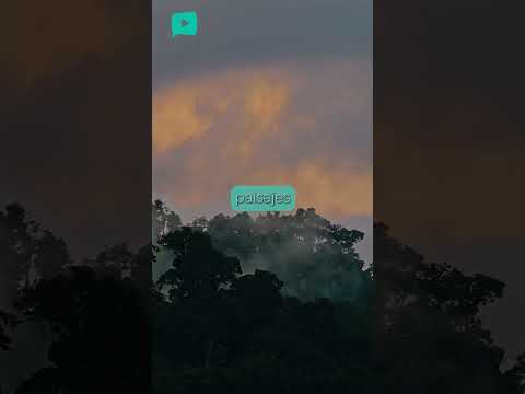 Tierras Morenas: el lado de Guanacaste que casi nadie imagina 🌫️🌬️