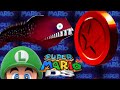 The Eel S Red Coins Super Mario 64 DS 9