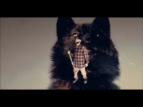 Stevie Chipz - “Wolf" [OFFICIAL MUSIC VIDEO]