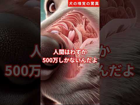 最高の嗅覚を持つ動物