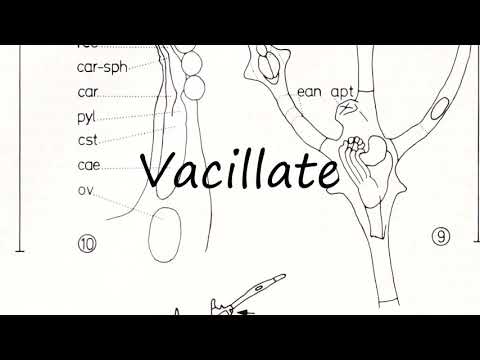 How to Pronounce Vacillate?