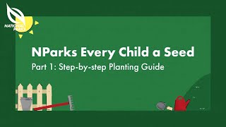 Step-by-step Planting Guide | Every Child a Seed Programme