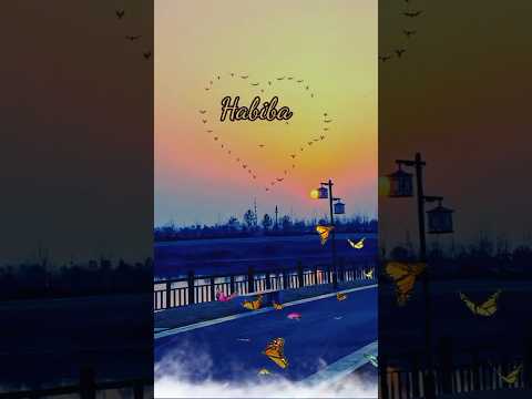 Habiba name status #saqibwrites