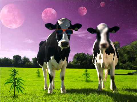 Freear - Gizmo Stomp (Freerange DJs Remix)