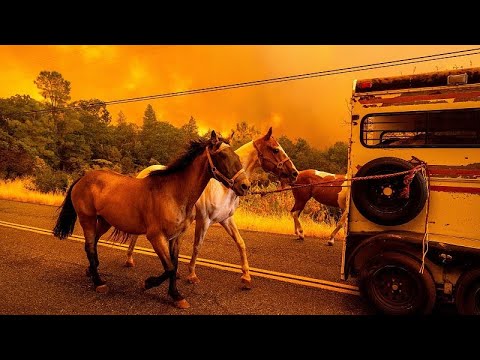 Video Thumbnail: California wildfire tripled in size was 'sparked by man with burning car'