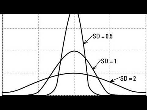 Rational Expectations