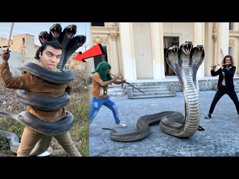 Waleed Ko Big Snake Ny Pakar Lea 😨