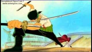One piece: Zoro loses to Hawk eyes