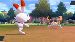 ♯５【ポケモン剣盾】ヒバニーが進化