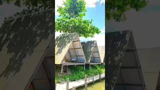 Download lagu Danau Kumbara, Kecamatan Kota Bangun, Kabupaten Kutai Kartanegara, Kalimantan Timur #borneo #shorts mp3 Download lagu Danau Kumbara, Kecamatan Kota Bangun, Kabupaten Kutai Kartanegara, Kalimantan Timur #borneo #shorts mp3