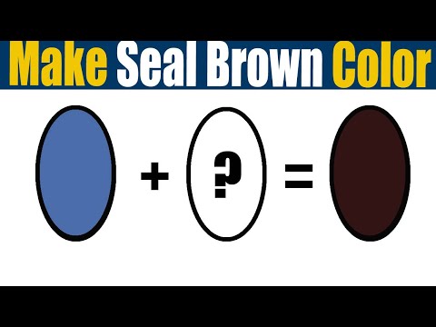 How To Make Seal Brown Color What Color Mixing To Make...
